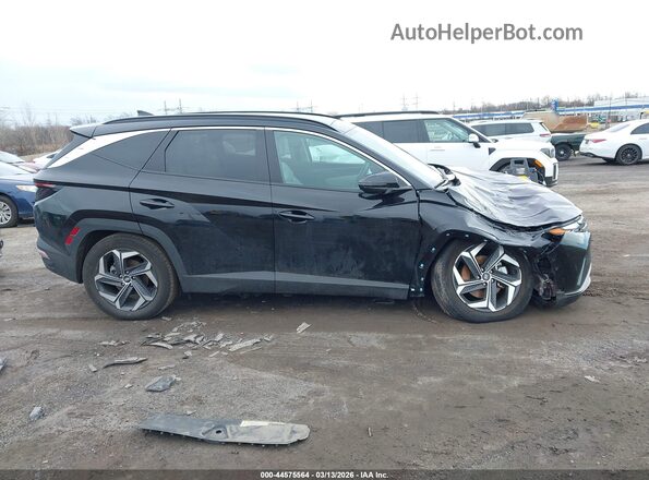 KM8JCCD14RU229797 2024 HYUNDAI TUCSON HYBRID Черный Вид задней части салона