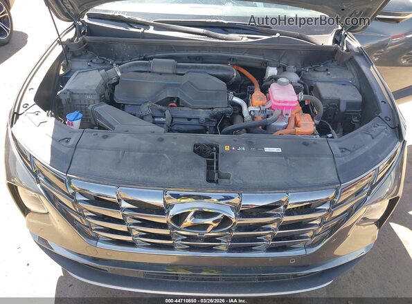 KM8JECD11RU237253 2024 HYUNDAI TUCSON HYBRID Gray უკანა ხედი