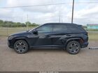 2024 Hyundai Tucson Hybrid N Line Black vin: KM8JFCD15RU149481