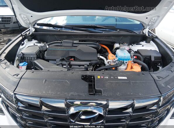 KM8JFDD29RU192879 2024 HYUNDAI TUCSON PLUG-IN HYBRID Белый Вид сзади