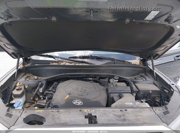 KM8R14HE9LU065157 2020 HYUNDAI PALISADE Black Widok z tyłu