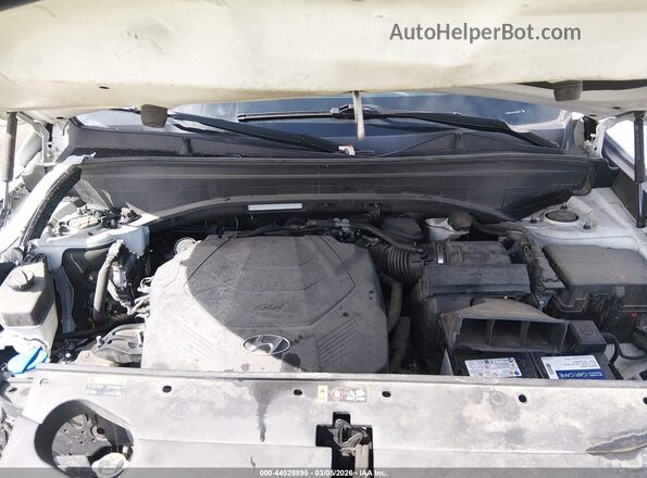 KM8R14HEXLU054832 2020 HYUNDAI PALISADE White Widok z tyłu