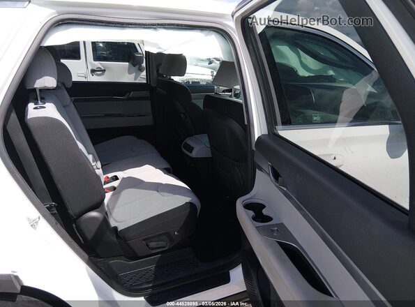 KM8R14HEXLU054832 2020 HYUNDAI PALISADE White Widok naklejki z numerem VIN