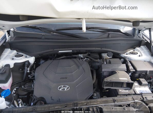 KM8R5DGE7RU666713 2024 HYUNDAI PALISADE Белый Вид сзади