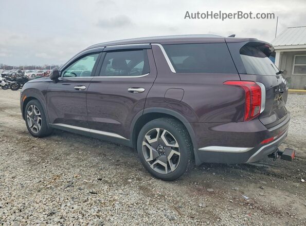 KM8R5DGEXPU630026 2023 HYUNDAI PALISADE Purple Tył lewy