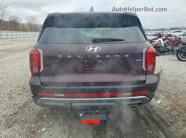 KM8R5DGEXPU630026 2023 HYUNDAI PALISADE Purple Widok z tyłu