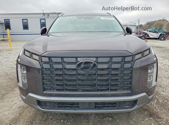 KM8R5DGEXPU630026 2023 HYUNDAI PALISADE Purple Widok z przodu