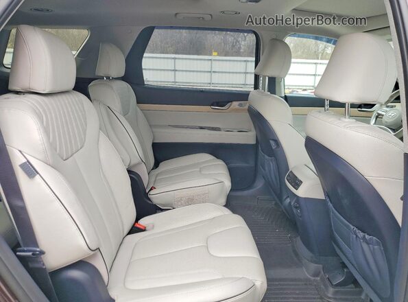 KM8R5DGEXPU630026 2023 HYUNDAI PALISADE Purple Widok wnętrza z tyłu