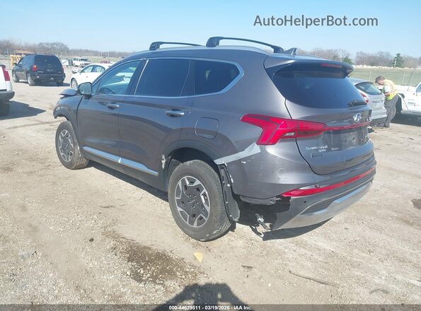 KM8S2DA13MU011733 2021 HYUNDAI SANTA FE HYBRID BLUE Gray უკანა მარცხენა