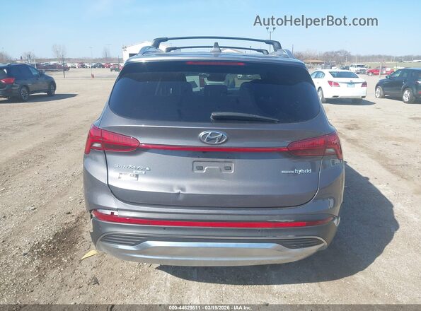KM8S2DA13MU011733 2021 HYUNDAI SANTA FE HYBRID BLUE Gray 