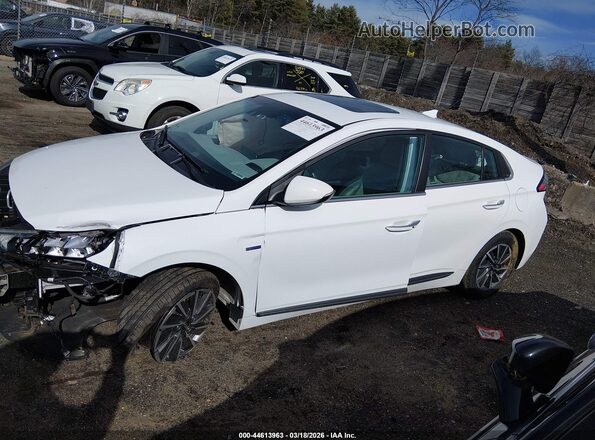KMHC85LJ8LU061158 2020 HYUNDAI IONIQ ELECTRIC White Панорамний вид салону 360°