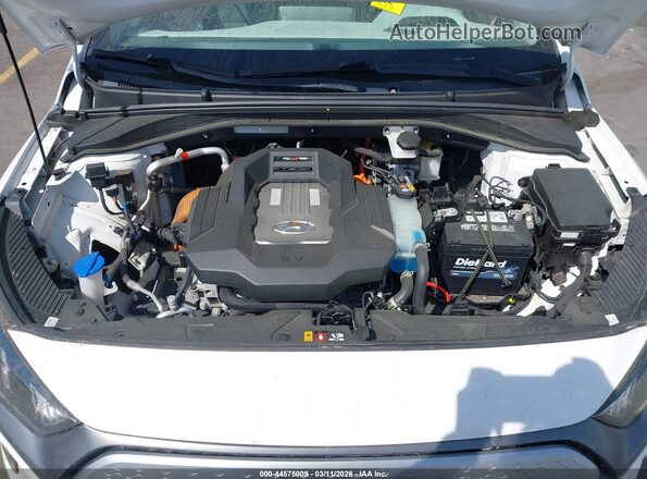 KMHC85LJ8LU073892 2020 HYUNDAI IONIQ ELECTRIC Белый Вид сзади