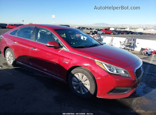 KMHE24L19GA040976 2016 HYUNDAI SONATA HYBRID Красный Передняя правая четверть