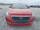 2016 Hyundai Sonata Hybrid Limited Red vin: KMHE34L13GA018193