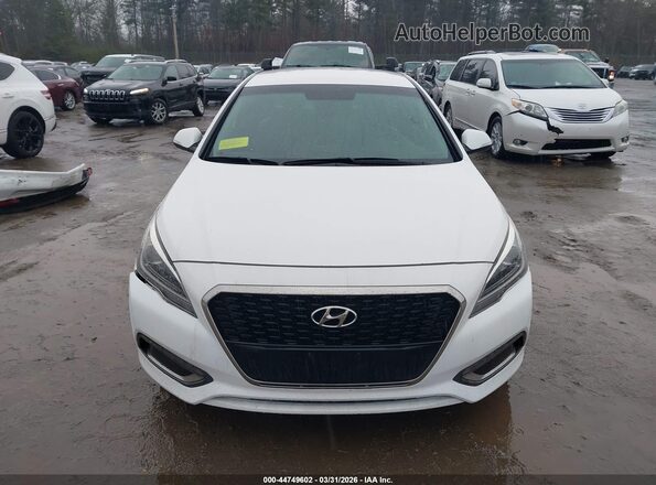 KMHE34L16HA057409 2017 HYUNDAI SONATA HYBRID Белый Вид задней части салона