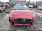 2019 Hyundai Elantra Gt Красный vin: KMHH35LEXKU098184 2019 Hyundai Elantra Gt Красный vin: KMHH35LEXKU098184