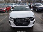 2018 Hyundai Elantra Gt Sport Белый vin: KMHH55LC2JU054638