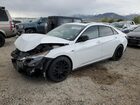 2021 Hyundai Elantra N Line White vin: KMHLR4AF1MU189247