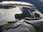 2016 Hyundai Veloster Base Silver vin: KMHTC6AD3GU271917