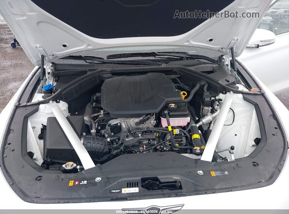 KMTG64SC4TU164149 2026 GENESIS G70 Белый Вид сзади