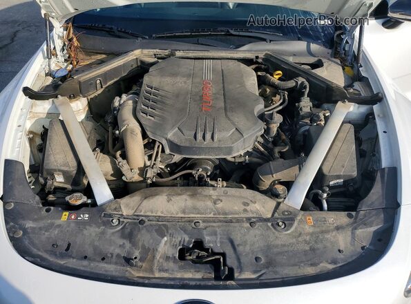KNAE35LC5L6081480 2020 KIA STINGER Белый Вид задней части салона