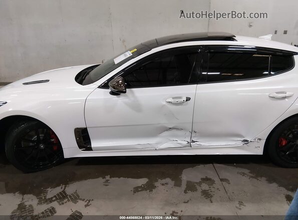 KNAE55LC4J6040488 2018 KIA STINGER Белый Панорамный вид салона 360°