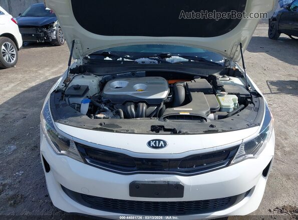 KNAGU4LE0H5012730 2017 KIA OPTIMA HYBRID Белый Вид сзади