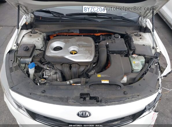 KNAGU4LE9K5032630 2019 KIA OPTIMA HYBRID White Հետևի տեսք