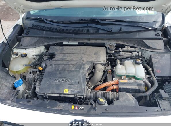 KNDCC3LC7H5074137 2017 KIA NIRO Белый Вид сзади