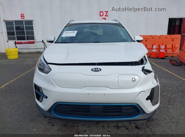 KNDCC3LG3L5041003 2020 KIA NIRO EV Белый Вид щитка приборов