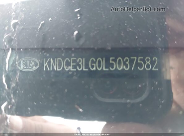 KNDCE3LG0L5037582 2020 KIA NIRO EV Silver 
