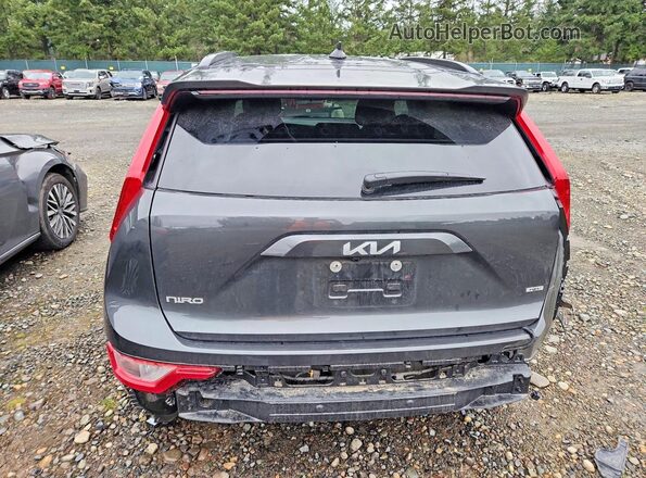 KNDCP3LE5S5306036 2025 KIA NIRO Серый Вид сзади