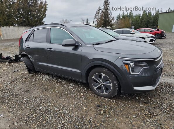 KNDCP3LE5S5306036 2025 KIA NIRO Серый 