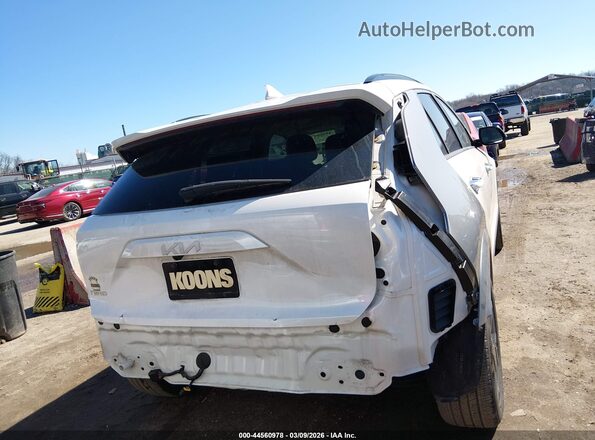 KNDCT3L17R5091388 2024 KIA NIRO EV Белый 