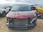 2024 Kia Carnival Lx Темно-бордовый vin: KNDNB4H35R6401110