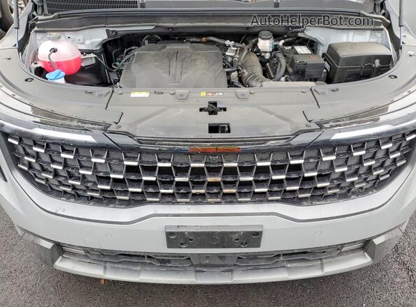 KNDNE5K33S6512086 2025 KIA CARNIVAL Серый Вид подкапотного пространства