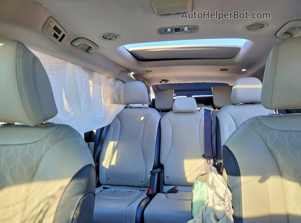KNDNE5KA1S6060699 2025 KIA CARNIVAL Белый Вид задних сидений
