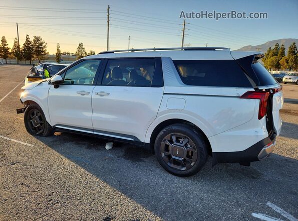 KNDNE5KA1S6060699 2025 KIA CARNIVAL Белый Задняя левая четверть