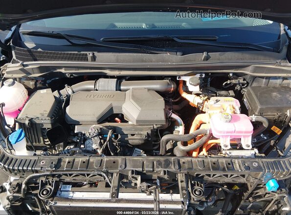 KNDNE5KA9S6050180 2025 KIA CARNIVAL MPV HYBRID Черный Вид сзади