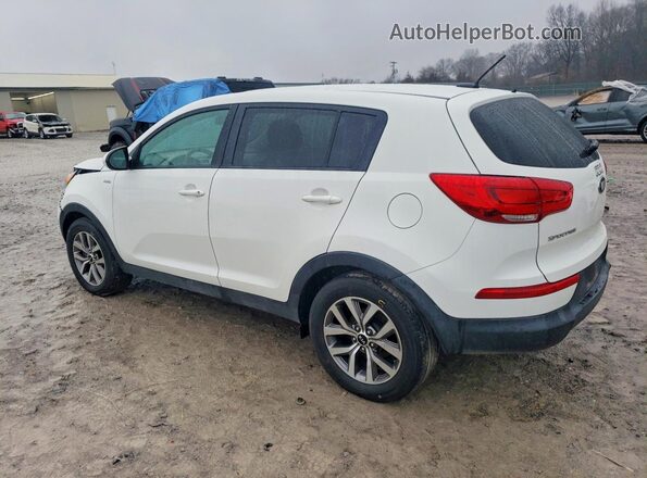 KNDPBCAC0G7876233 2016 KIA SPORTAGE White Trasero izquierdo