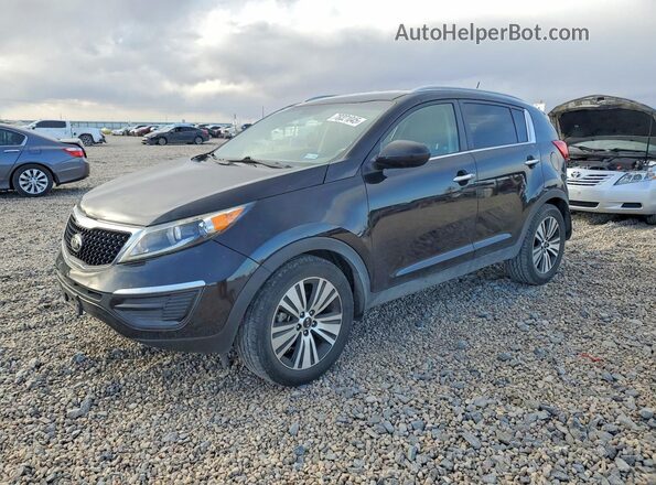 KNDPC3AC4G7847220 2016 KIA SPORTAGE Черный Передняя левая четверть