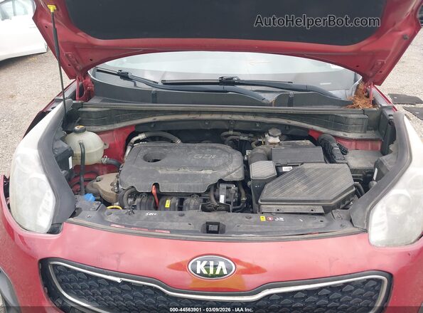 KNDPM3AC0H7135253 2017 KIA SPORTAGE Red Widok z tyłu