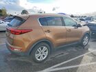 2019 Kia Sportage Lx Brown vin: KNDPM3AC0K7504409