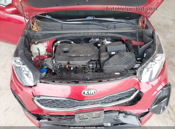 KNDPM3AC2L7712471 2020 KIA SPORTAGE Красный Вид сзади