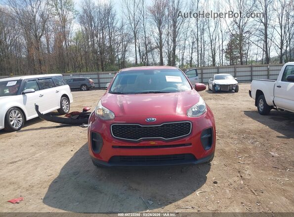 KNDPM3AC5K7621161 2019 KIA SPORTAGE Красный Вид задней части салона