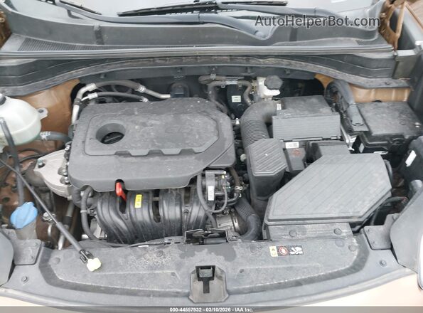KNDPM3AC8H7233513 2017 KIA SPORTAGE Коричневый Вид сзади