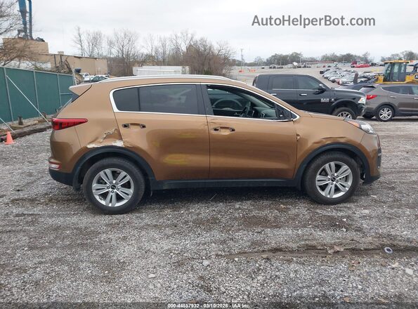 KNDPM3AC8H7233513 2017 KIA SPORTAGE Коричневый Вид задней части салона