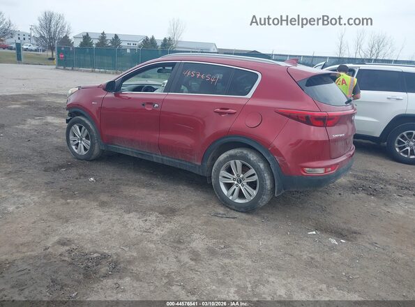 KNDPMCAC3H7102358 2017 KIA SPORTAGE Red Tył lewy