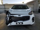2019 Kia Sportage Lx Белый vin: KNDPMCAC3K7609350