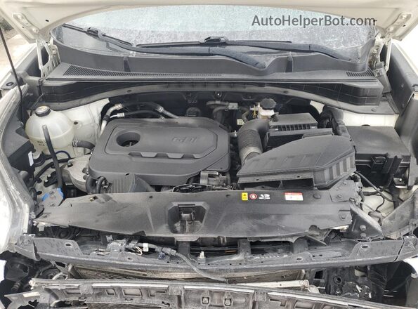 KNDPMCAC4K7617425 2019 KIA SPORTAGE Белый Вид задней части салона